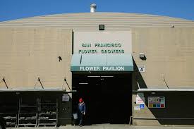 White embossed cement mariela outdo. Don T Pay More Than You Have To For Flowers