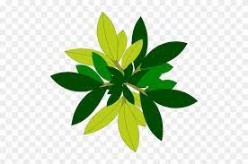 Gambar pohon tanpa daun png. Daun Pohon Tree Vector Top View Png Free Transparent Png Clipart Images Download