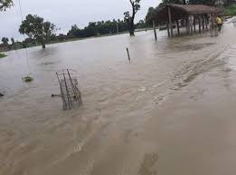 Monsoon-related natural disasters leave more than 144 dead or ...