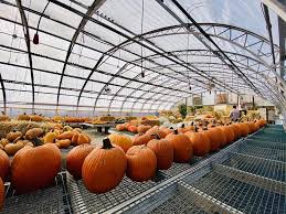 These petting zoos are great places to enjoy your next animal adventure. Abma S Farm Market Greenhouses And Petting Zoo Gift Card Wyckoff Nj Giftly