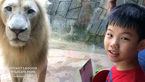 Additional fees for the following rides in the extreme park your friendly driver collects you from your kuala lumpur hotel for this sunway lagoon theme park day trip from the capital. Sunway Lagoon S Wildlife Adventure Take A Walk On The Wild Side Home Is Where My Heart Is