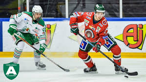 Frölunda indians är en av de tunga pjäserna inom svensk ishockey (shl) med en supporterbas inte bara i göteborg utan i hela. Facebook
