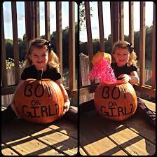 Fall Pumpkin Gender Reveal Halloween Gender Reveal Pumpkin Gender Reveal Fall Gender Reveal