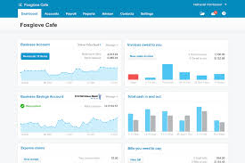 my review of xero cloud accounting software for small