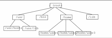 Maybe you would like to learn more about one of these? Test Documentation Home Solaris Handbuch Fur Fortgeschrittene Benutzer Kapitel 3 Dateien Und Verzeichnisse 3 4 Verzeichnisbefehle Solaris Handbuch Fur Fortgeschrittene Benutzer Previous 3 3 Dateibefehle Next 3 5 Zwei Dateien Vergleichen Diff
