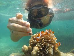 Tahun baru 2021 masehi 2. Open Trip Pulau Pahawang 1 Hari 01 01 Januari 2021 Haraduta Com