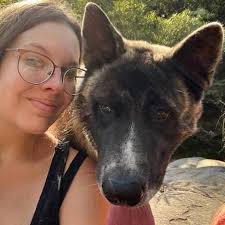 Best Dog Walkers in Saint Louis, MO