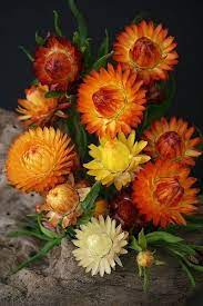 Pin On Bhgre Fall Pin Love