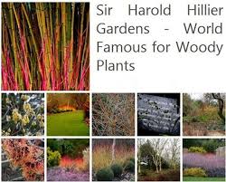 Harold Hiller Winter Garden Champion Trees Garden Show