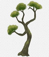 Juegos de regar y plantar flores. Arbol Videojuego Planta Lenosa Arboles Juego Rama Hierba Png Pngwing