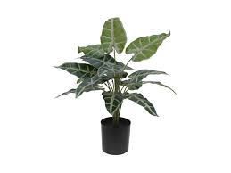 Newchic offer quality artificial plants at wholesale prices. Europalms Caladium Artificial Plant 38cm