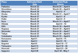 Cherry Blossom Forecast 2015 Japan Travel Advice