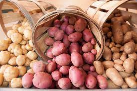 Many gardeners plant some of each in the spring. How To Store Potatoes The Right Way Brand New Vegan