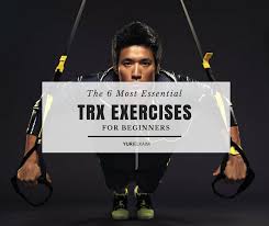 6 Of The Best Trx Exercises For Beginners And An Awesome