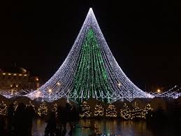 Cel mai frumos craciun links. Top Cel Mai Frumos Brad De CrÄciun Din Lume Maramedia