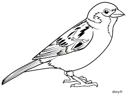 dessin gratuit un moineau dory fr coloriages licorne coloriage dmathe allemand