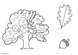 coloriage chene img 5682 dibujos para colorear dibujo de arbol manualidades coloriages d&#x00027;hiver