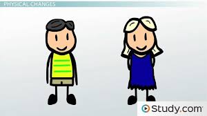 Image result for Sexual Development