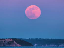 Known for its showers and ever warming temperatures, april is also known as a month when spring flowers begin to appear. Pink Supermoon 2021 What Is April S Full Moon And When Will It Appear The Independent