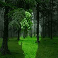 Ook middelen waarvan bekend is dat ze slecht zijn . Animation Nature Gif Animation Nature Ecology Discover Share Gifs