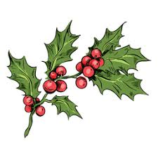 Mistletoe Branch Illustration Mistletoe Images Christmas Drawing Floral Letters