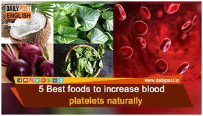 5 Best Foods To Increase Blood Platelets Naturally Daily