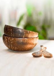 Natural coconut shell bowl with lid & spoon 100% eco friendly from sri lanka. Discover Shop Eco Bowls Products Online With Reviews Information Lbb