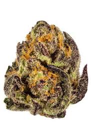Miss daisy flowers promo code. Driving Miss Daisy Strain Hybrid Cannabis Video Thc Terps Hytiva