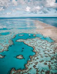 Overnight temperatures falling to between 7 and 13 with daytime temperatures reaching the low to mid 20s. 4 Reasons Why You Must Visit The Iconic Hamilton Island Australian Traveller
