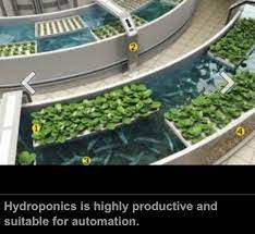 I will show you how further on. Hydroponic Garden With Fish Unique Aquaponics Plans