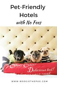 We are finding more and more chains that are taking advantage of pet lovers in a big way. Pet Friendly Hotels With No Fees Pet Friendly Hotels Pets Dog Friendly Hotels
