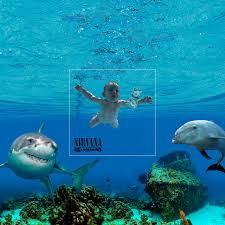There are many out there that don't have any words to help you identify the album, you have to recognize it from the past or know some of the artists that created it. Nirvana So Sieht Das Baby Vom Nevermind Cover Heute Aus Watson