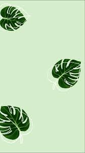 Similar with banana leaves png. Wallpaper Iphone Wallpaper Green Green Leaf Wallpaper Simple Iphone Wallpaper