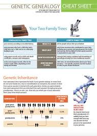 Store Will Be Back Genealogy Cheating Cheat Sheets