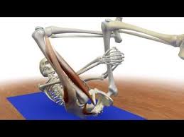 Protecting The Knee In Reverse Pigeon Pose Yoga Anatomy Yoga Muscles Pigeon Pose