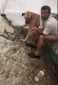 yaziklar olsun kopege tecavuz patiliyo com