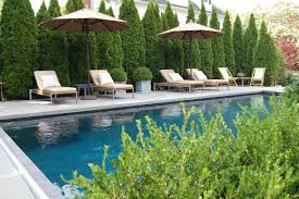 Landscaping Trees For Privacy Pool Ideas Photos Houzz
