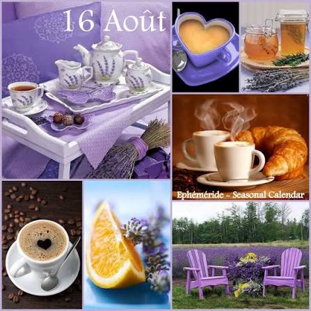 16 Août café