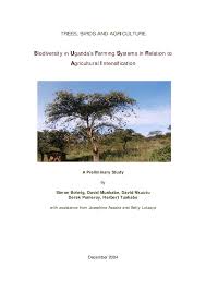 Image result for Tricalysia bagshawei