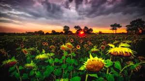 Maybe you would like to learn more about one of these? Cele Mai Frumoase Peisaje Din Romania Youtube