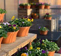 Holmberg Orchards In 2021 Fruit Picking Orchard Planter Pots