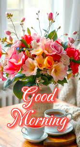 Flowers - 🌹🥀Beautiful Flowers🥀🌹Good Morning🌺 #83shubh 😊 | Facebook