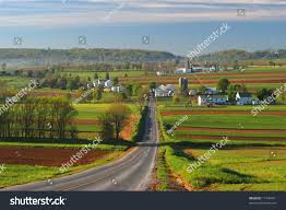 Image result for tbn:cRxpWML3C6TQFM::farm3.static.flickr.com/2382/2420623259_e3c8cd4fd8.jpg