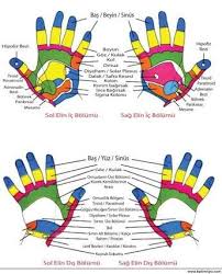 Akupunktur Noktalari Semasi Ile Ilgili Gorsel Sonucu Refleksoloji Akupunktur Solar Plexus