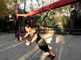 Jungle Gym Xt Upper Body Workout Youtube