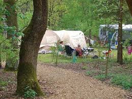 Om 20:00 uur nemen vera en rene vast afscheid en omdat wij tegenwoordig niet meer zo veel eten en net diverse hapjes bij de borrel hebben gegeten, slaan we het avondeten over en gaan we, na. Camping Harskamperdennen Spottocamp