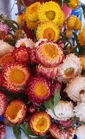 Trias flowers has floral arrangements and bouquets available for any occasion, holiday, or special event! Happy Flowers Home Facebook