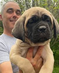 Katie Hagemann's Instagram, Twitter & Facebook