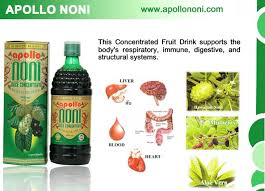 Noni Juice Manufacturer India Saft Gesundheit