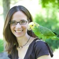 90+ perfiles de «Wheelbarger»